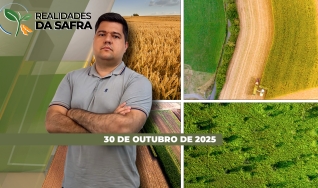 Realidades da Safra - Notícias Agrícolas