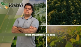 Realidades da Safra - Notícias Agrícolas