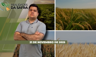 Realidades da Safra - Notícias Agrícolas