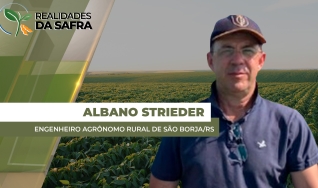 Albano Antônio Strieder - Engenheiro Agrônomo do Sindicato Rural de São Borja/RS