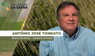 Antônio José Tondato - Produtor Rural - Cândido Mota/SP