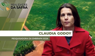 Claudia Godoy - Pesquisadora da Embrapa Soja