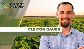 Cleiton Gauer - Superintendente do Imea
