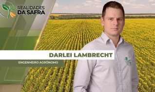 Darlei Lambrecht - Engenheiro Agrônomo