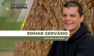Edmar Gervásio - Analista do Deral