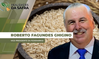 Roberto Fagundes Ghigino - Vice-Presidente da Federarroz