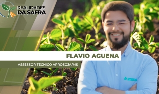 Flavio Aguena - Assessor Técnico Aprosoja/MS