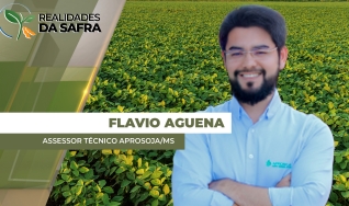 Flavio Aguena - Assessor Técnico Aprosoja/MS