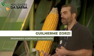 Guilherme Zorzi - Engenheiro Agrônomo da Emater/RS