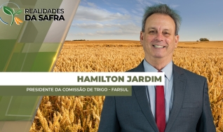 Hamilton Jardim - Presidente da Comissão de Trigo - Farsul