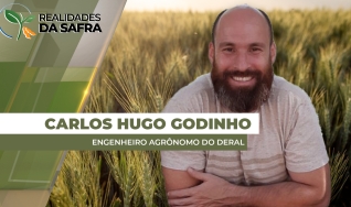 Carlos Hugo Godinho - Engenheiro Agrônomo do Deral