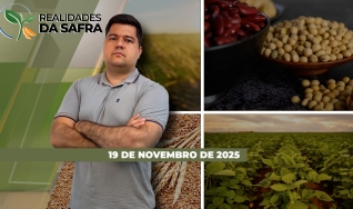 Realidades da Safra - Notícias Agrícolas