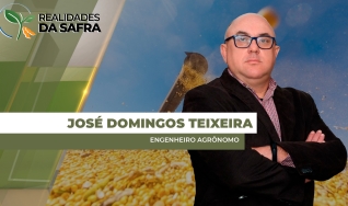 José Domingos Teixeira - Engenheiro Agrônomo