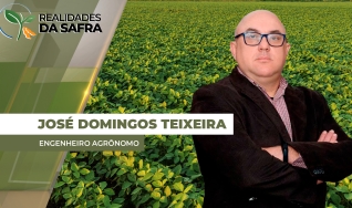José Domingos Teixeira - Engenheiro Agrônomo