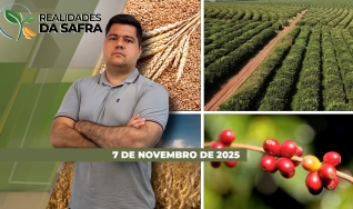 Realidades da Safra - Notícias Agrícolas