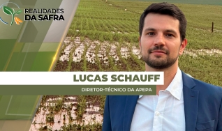 Lucas Schauff - Diretor-Técnico da APEPA