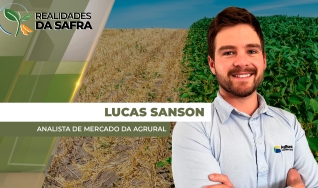 Lucas Sanson - Analista de Mercado da Agrural