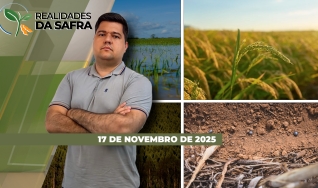 Realidades da Safra - Notícias Agrícolas