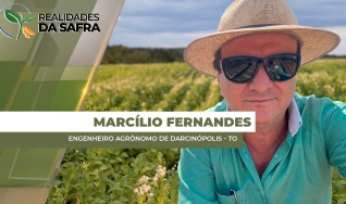 Marcílio Fernandes Marangoni - Engenheiro Agrônomo de Darcinópolis - TO