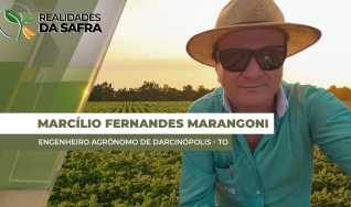 Marcílio Fernandes Marangoni - Engenheiro Agrônomo de Darcinópolis - TO