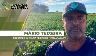 Mário Teixeira Marinho Neto - Produtor Rural na Região de Itambaracá/PR
