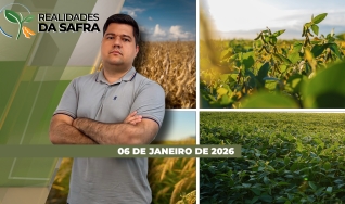 Guilherme Dorigatti