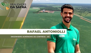 Rafael Antoniolli - Engenheiro Agrônomo de Confresa - MT