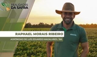 Raphael Morais Pinheiro - Agrônomo de Luís Eduardo  Magalhães / BA