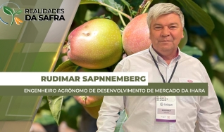 Rudimar Sapnnemberg - Engenheiro Agrônomo de Desenvolvimento de Mercado da Ihara