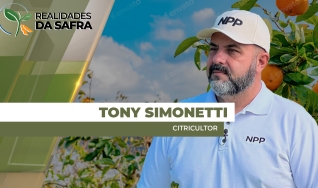 Tony Simonetti - Citricultor