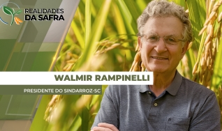 Walmir Rampinelli - Presidente do SindArroz-SC