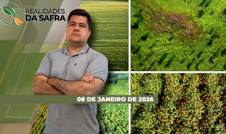 Realidades da Safra - Notícias Agrícolas