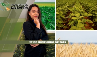 Realidades da Safra - Notícias Agrícolas