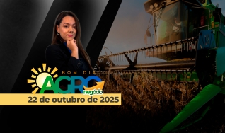 Bom Dia Agro - com Andressa Simão