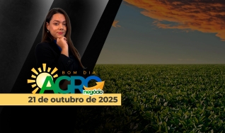 Bom Dia Agro - com Andressa Simão