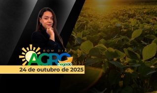 Bom Dia Agro - com Andressa Simão
