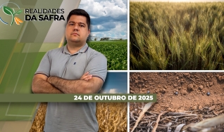 Realidades da Safra - Notícias Agrícolas