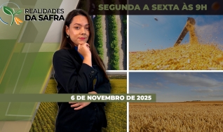 Realidades da Safra - Notícias Agrícolas