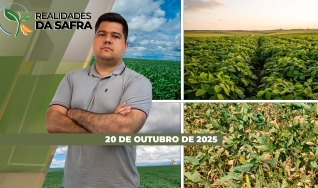 Realidades da Safra - Notícias Agrícolas