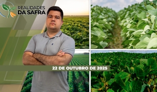 Realidades da Safra - Notícias Agrícolas