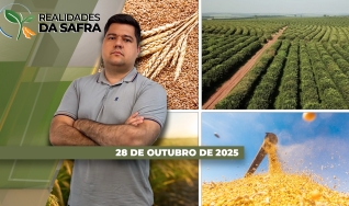 Realidades da Safra - Notícias Agrícolas