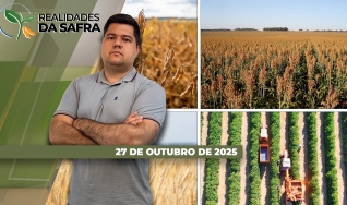 Realidades da Safra - Notícias Agrícolas