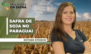 Esther Storch - Diretora Sócia da DASAGRO