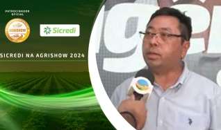 Eduardo Edamitsu- APL do Amendoim de Tupã e Região