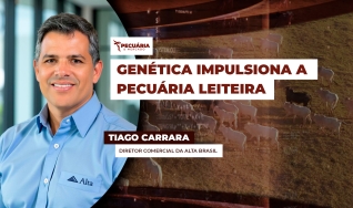 Tiago Carrara - Diretor Comercial da Alta Brasil