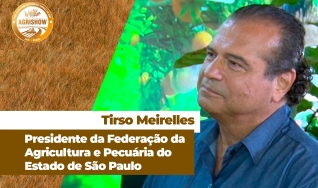 Tirso Meirelles