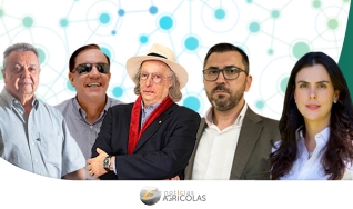 Conexão Campo Cidade -