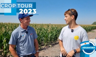 Tomás Quintana - Engenheiro Agrônomo da Stein