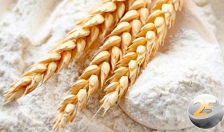 Luís Antônio Carniel - Engenheiro Agrônomo da Copercampos