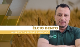 Élcio Bento - Analista da Safras & Mercado